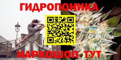 прущие грибы Волжский