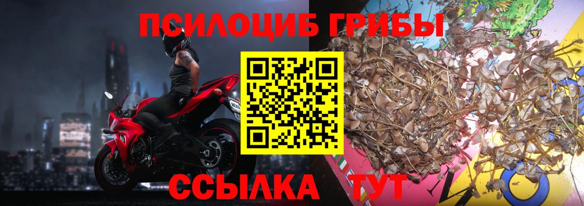 Железноводск  Галлюциногенные грибы мицелий  Вход с VPN 